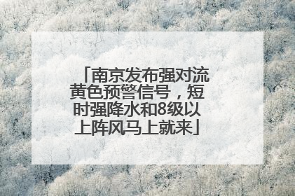 南京发布强对流黄色预警信号，短时强降水和8级以上阵风马上就来