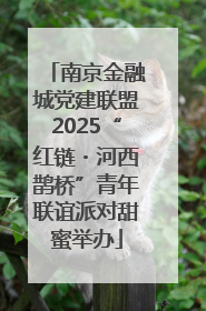 南京金融城党建联盟2025“红链・河西鹊桥”青年联谊派对甜蜜举办