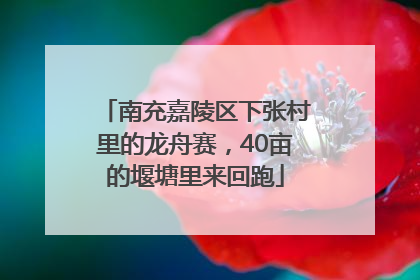 南充嘉陵区下张村里的龙舟赛，40亩的堰塘里来回跑