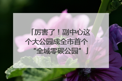 厉害了！副中心这个大公园成全市首个“全域零碳公园”