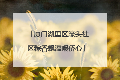 厦门湖里区濠头社区粽香飘溢暖侨心