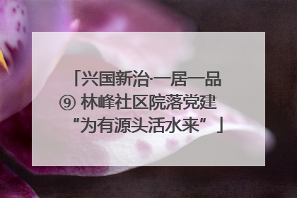 兴国新治·一居一品⑨ 林峰社区院落党建“为有源头活水来”