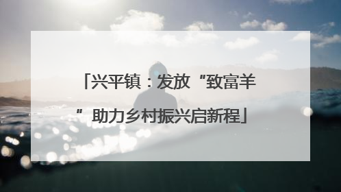 兴平镇：发放“致富羊”助力乡村振兴启新程