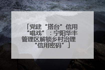 党建“搭台”信用“唱戏”：宁阳华丰管理区解锁乡村治理“信用密码”