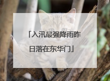 入汛最强降雨昨日落在东华门