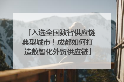 入选全国数智供应链典型城市！成都如何打造数智化外贸供应链
