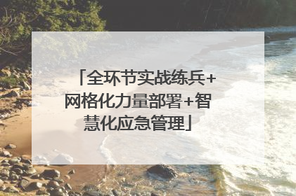 全环节实战练兵+网格化力量部署+智慧化应急管理