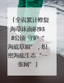 全省累计修复海草床面积938公顷 守护“海底草原”，织密海底生态“一张网”