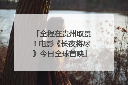 全程在贵州取景！电影《长夜将尽》今日全球首映
