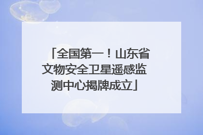 全国第一！山东省文物安全卫星遥感监测中心揭牌成立