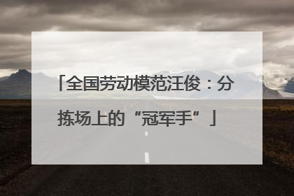 全国劳动模范汪俊：分拣场上的“冠军手”