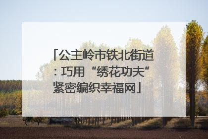 公主岭市铁北街道：巧用“绣花功夫”紧密编织幸福网