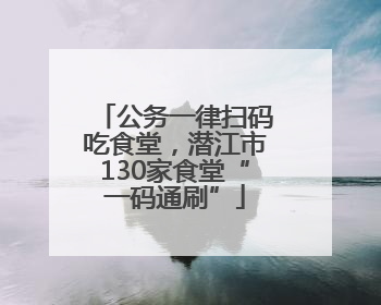 公务一律扫码吃食堂，潜江市130家食堂“一码通刷”