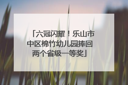 六冠闪耀！乐山市中区棉竹幼儿园捧回两个省级一等奖