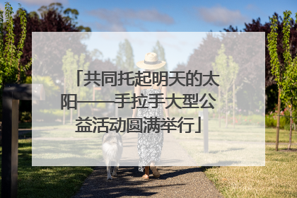 共同托起明天的太阳——手拉手大型公益活动圆满举行