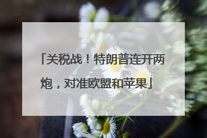 关税战！特朗普连开两炮，对准欧盟和苹果