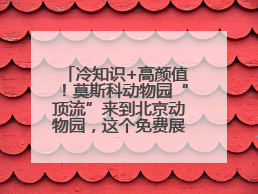 冷知识+高颜值！莫斯科动物园“顶流”来到北京动物园，这个免费展览，遛娃拍照两不误！