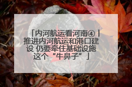 内河航运看河南④丨推进内河航运和港口建设 仍要牵住基础设施这个“牛鼻子”