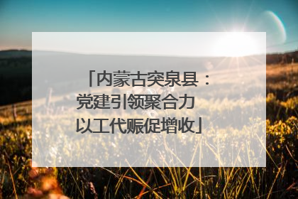 内蒙古突泉县：党建引领聚合力 以工代赈促增收