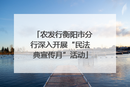 农发行衡阳市分行深入开展“民法典宣传月”活动