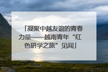 凝聚中越友谊的青春力量——越南青年“红色研学之旅”见闻