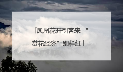 凤凰花开引客来 “赏花经济”别样红