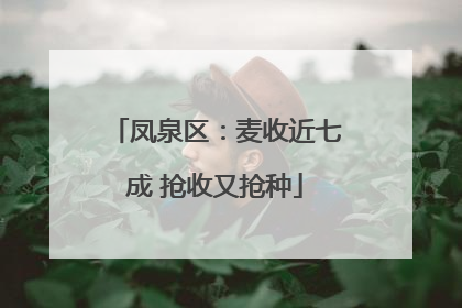凤泉区：麦收近七成 抢收又抢种