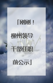 刚刚！柳州领导干部任职前公示
