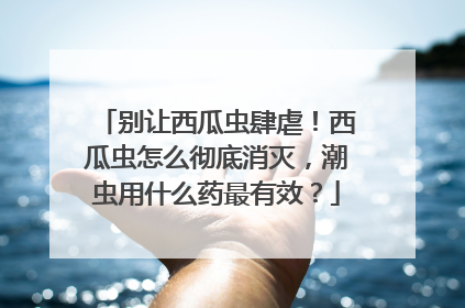 别让西瓜虫肆虐！西瓜虫怎么彻底消灭，潮虫用什么药最有效？