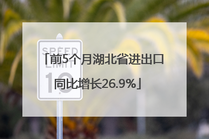 前5个月湖北省进出口同比增长26.9%