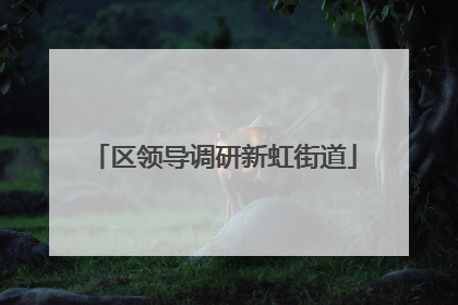 区领导调研新虹街道