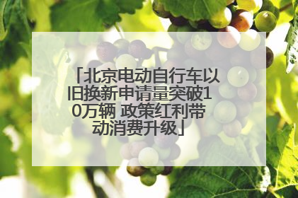 北京电动自行车以旧换新申请量突破10万辆 政策红利带动消费升级