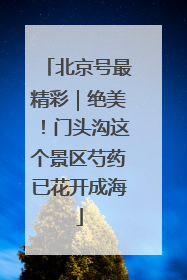 北京号最精彩｜绝美！门头沟这个景区芍药已花开成海