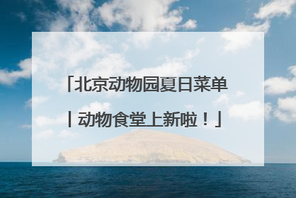 北京动物园夏日菜单丨动物食堂上新啦！