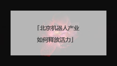 北京机器人产业如何释放活力