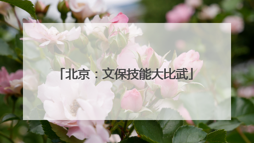 北京：文保技能大比武
