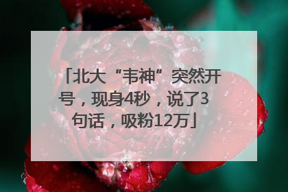北大“韦神”突然开号，现身4秒，说了3句话，吸粉12万