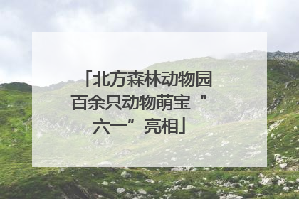 北方森林动物园百余只动物萌宝“六一”亮相