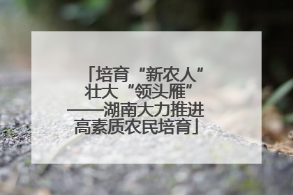 培育“新农人” 壮大“领头雁”——湖南大力推进高素质农民培育