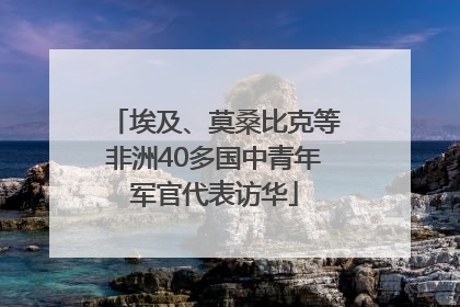 埃及、莫桑比克等非洲40多国中青年军官代表访华