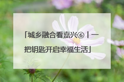 城乡融合看嘉兴⑥丨一把钥匙开启幸福生活