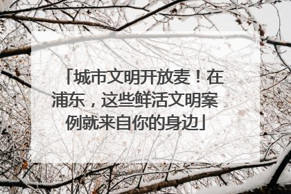 城市文明开放麦！在浦东，这些鲜活文明案例就来自你的身边