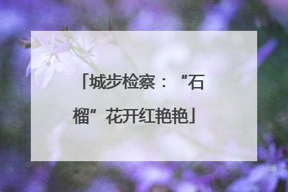 城步检察：“石榴”花开红艳艳