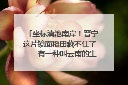 坐标滇池南岸！晋宁这片镜面稻田藏不住了——有一种叫云南的生活之365天