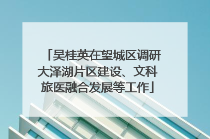 吴桂英在望城区调研大泽湖片区建设、文科旅医融合发展等工作