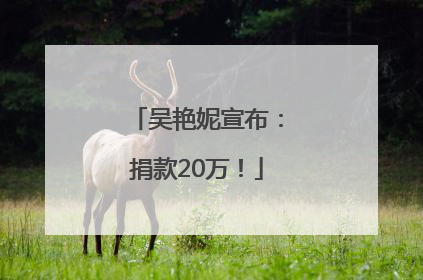 吴艳妮宣布：捐款20万！