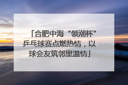合肥中海“领潮杯”乒乓球赛点燃热情，以球会友筑邻里温情