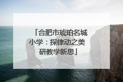 合肥市琥珀名城小学：探律动之美 研教学新思