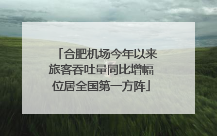合肥机场今年以来旅客吞吐量同比增幅位居全国第一方阵