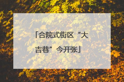 合院式街区“大吉巷”今开张